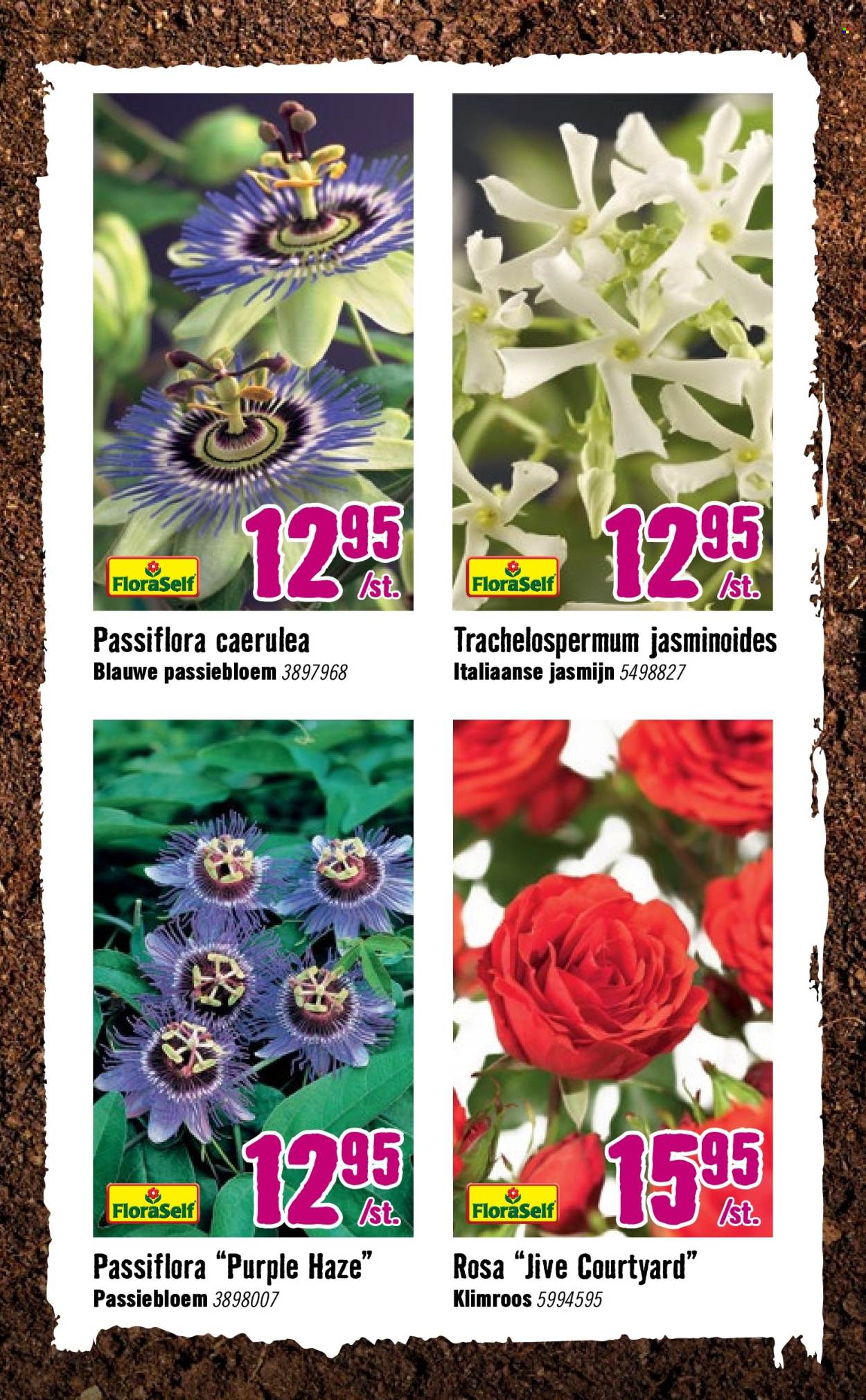 thumbnail - Hornbach-aanbieding - 8-4-2024 - 12-5-2024 -  producten in de aanbieding - passiflora. Pagina 7.