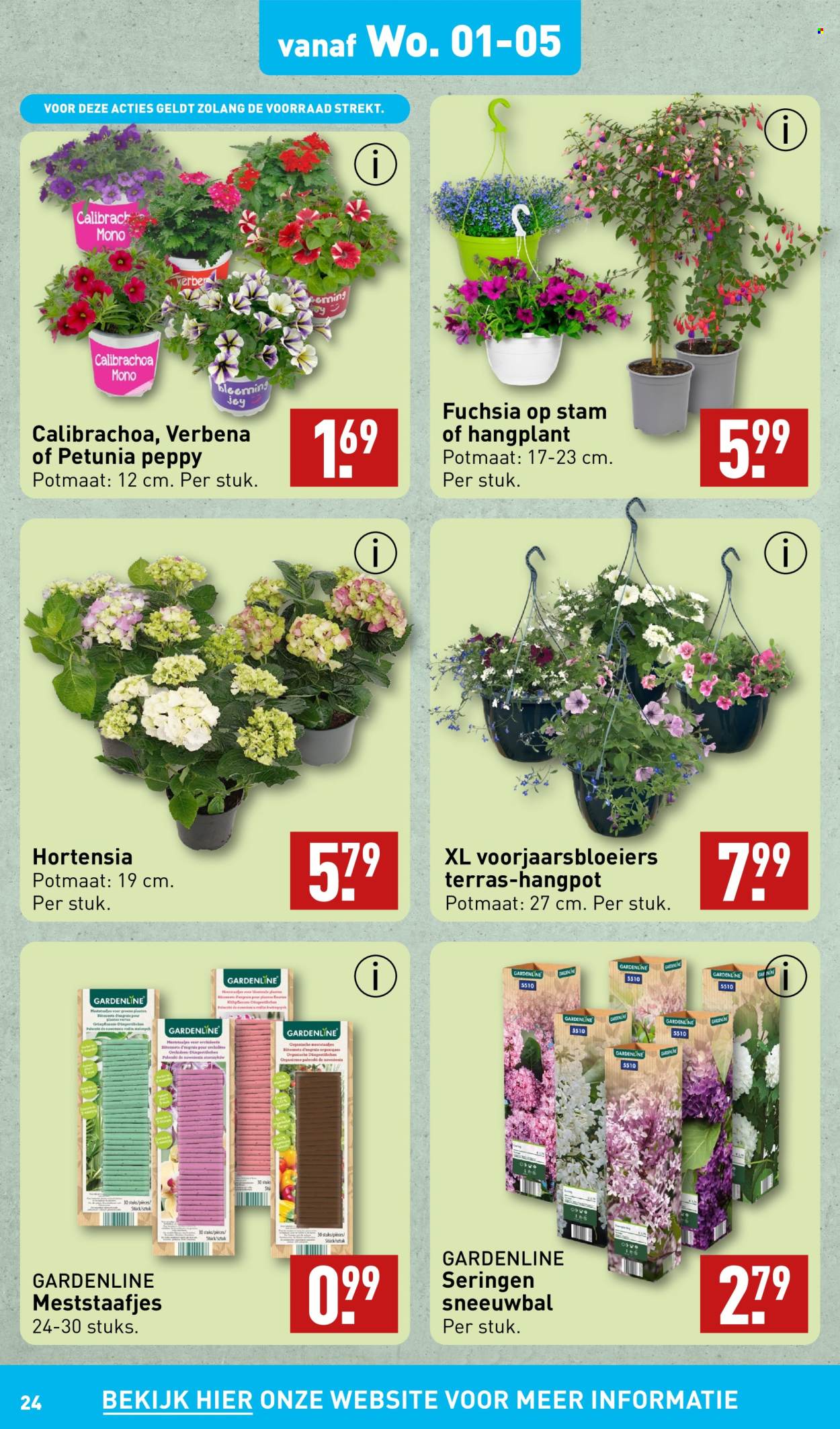 thumbnail - Aldi-aanbieding - 29-4-2024 - 5-5-2024 -  producten in de aanbieding - bloemen, kamerplante, planten. Pagina 24.