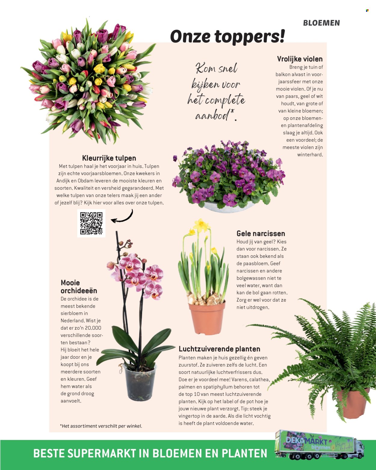 DekaMarkt-aanbieding. Pagina 1