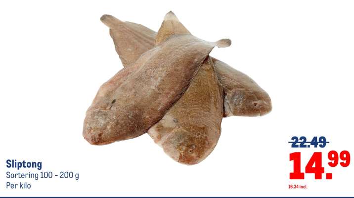 Sliptong