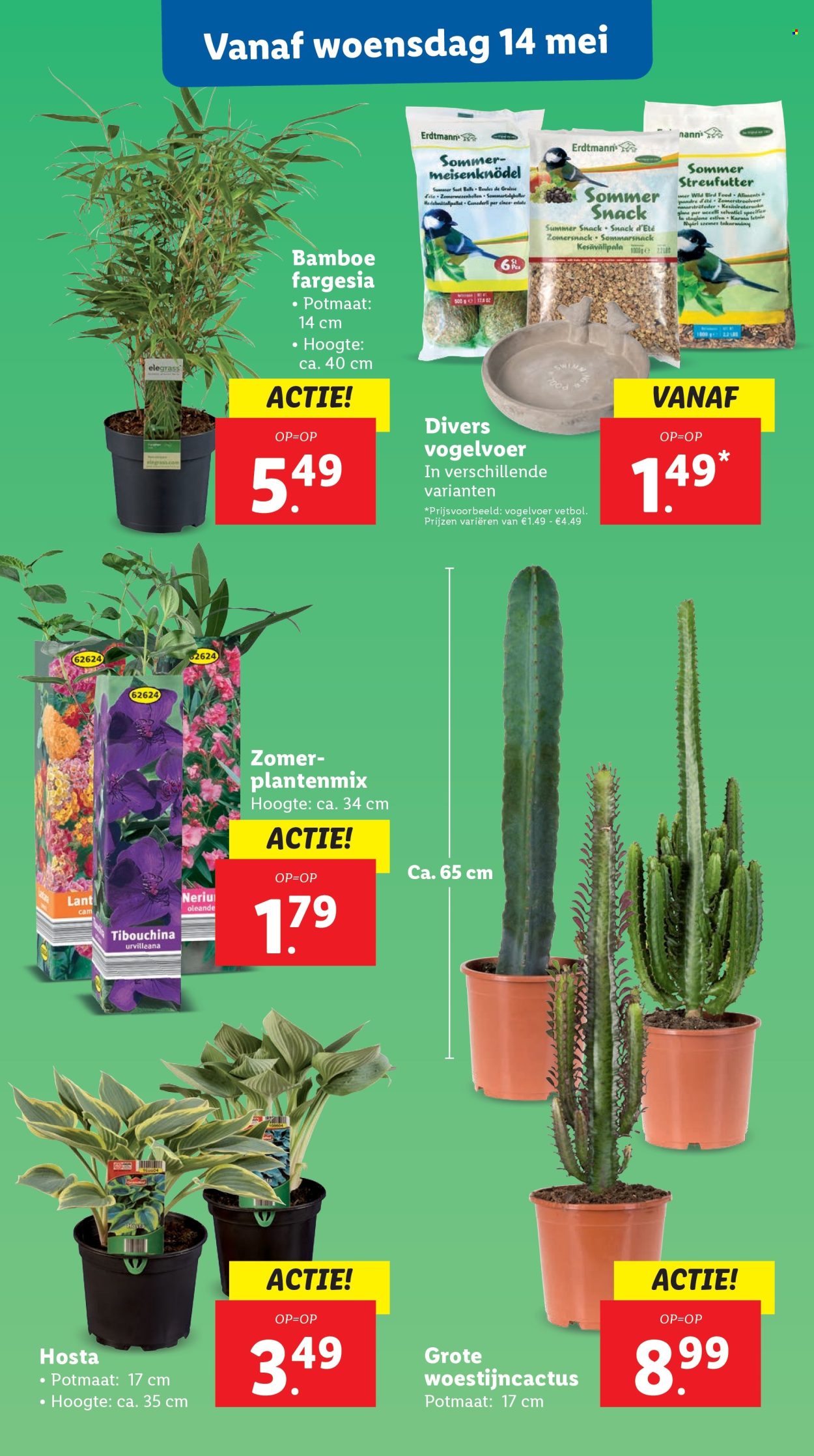 Lidl-aanbieding - 12-5-2025 - 18-5-2025. Pagina 1