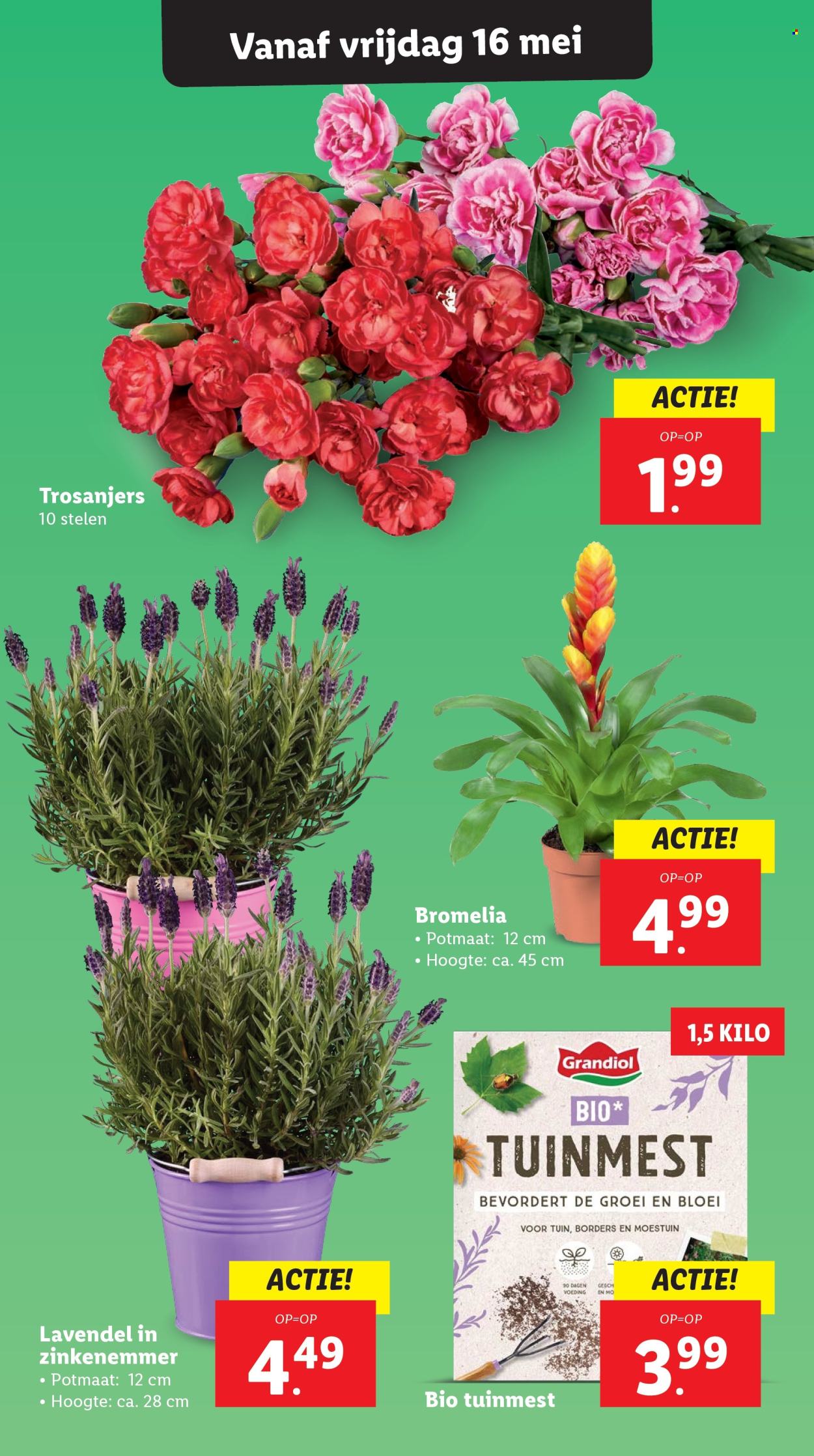 Lidl-aanbieding - 12-5-2025 - 18-5-2025. Pagina 1