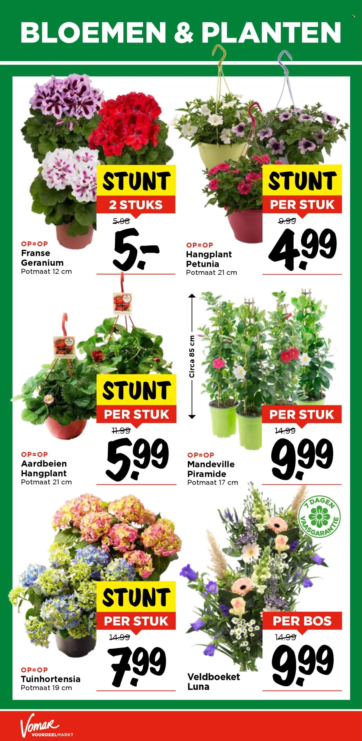 Vomar-aanbieding - 11-5-2025 - 17-5-2025. Pagina 1