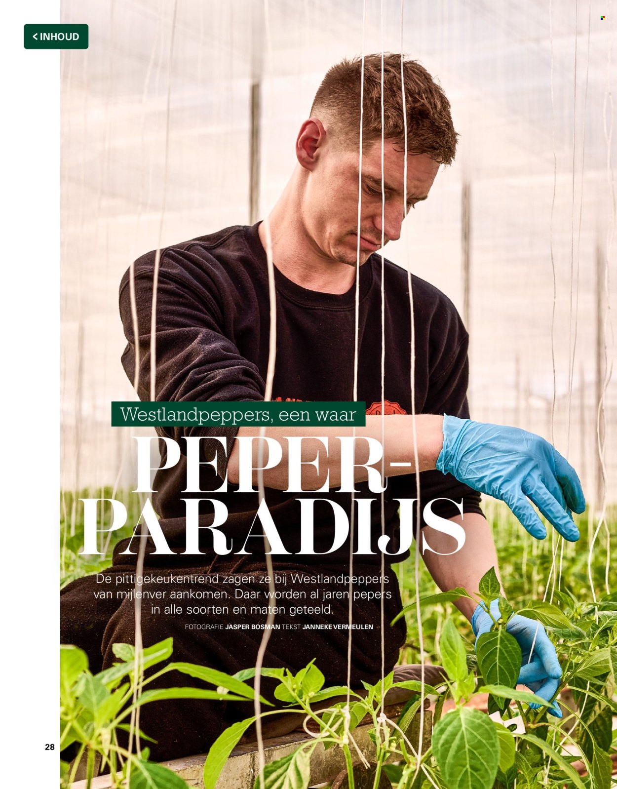 Sligro-aanbieding. Pagina 28