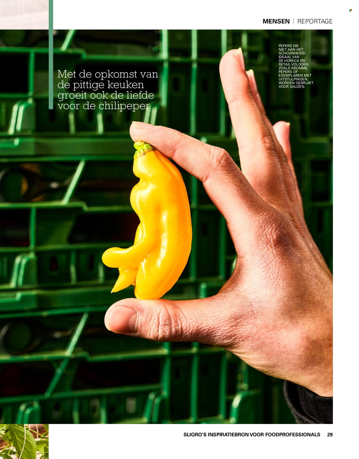 Sligro-aanbieding. Pagina 29