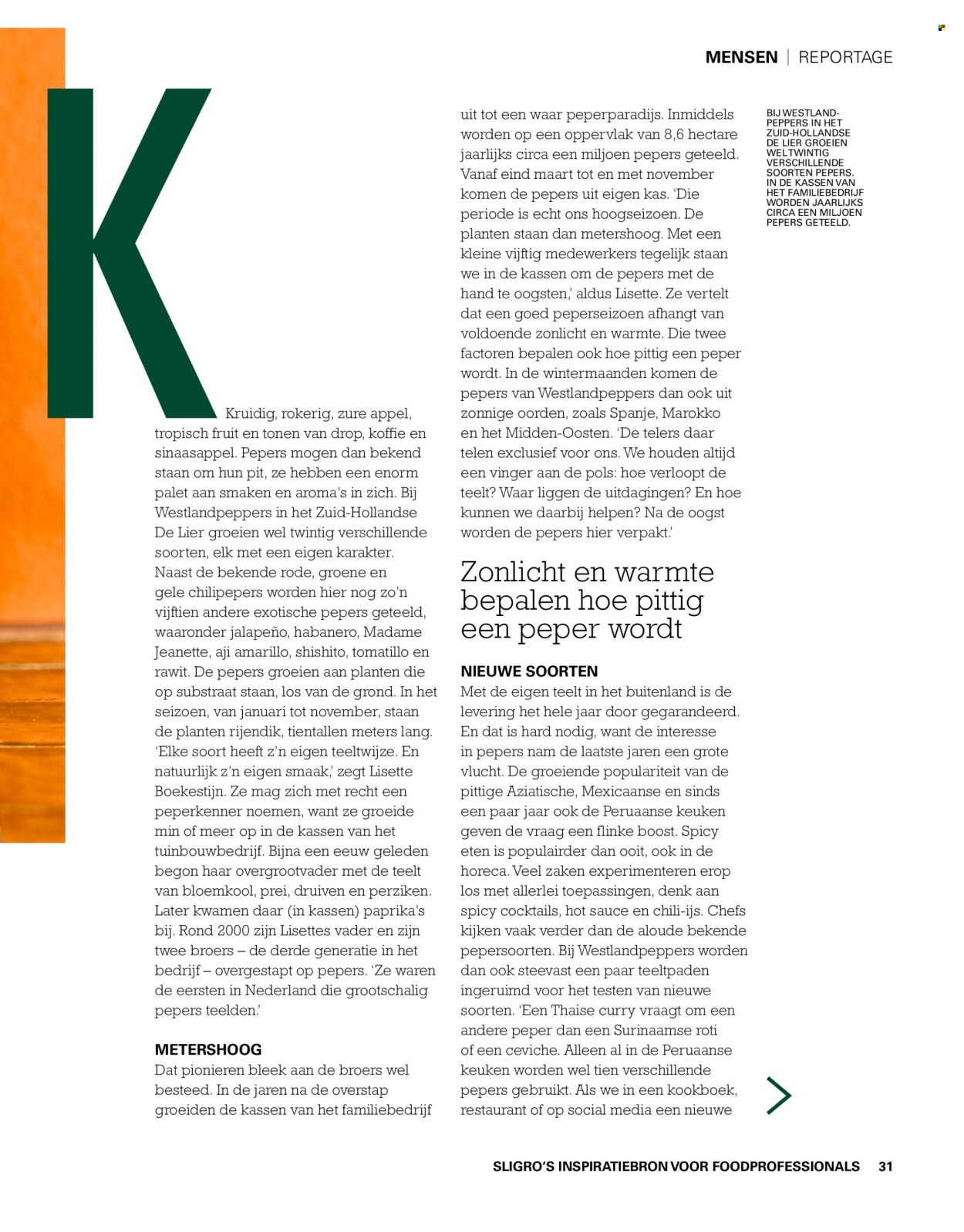 Sligro-aanbieding. Pagina 31