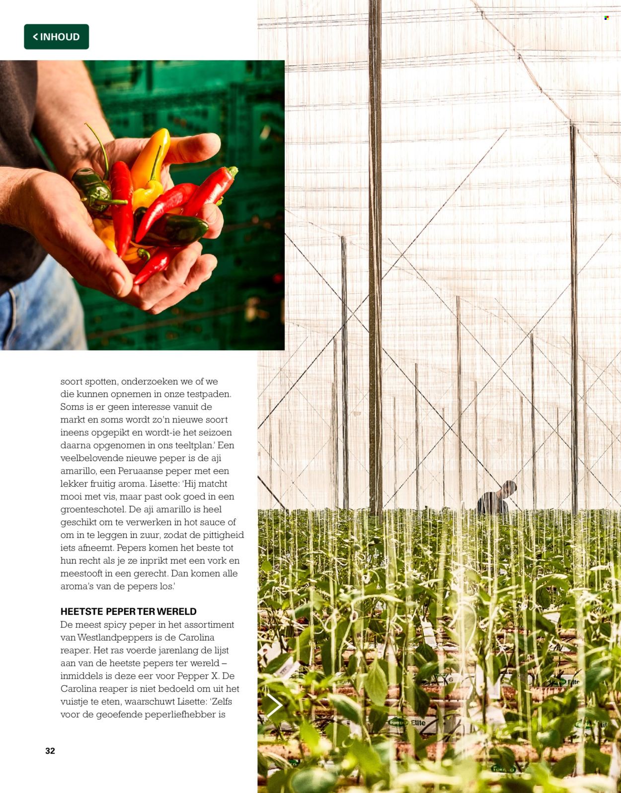 Sligro-aanbieding. Pagina 32