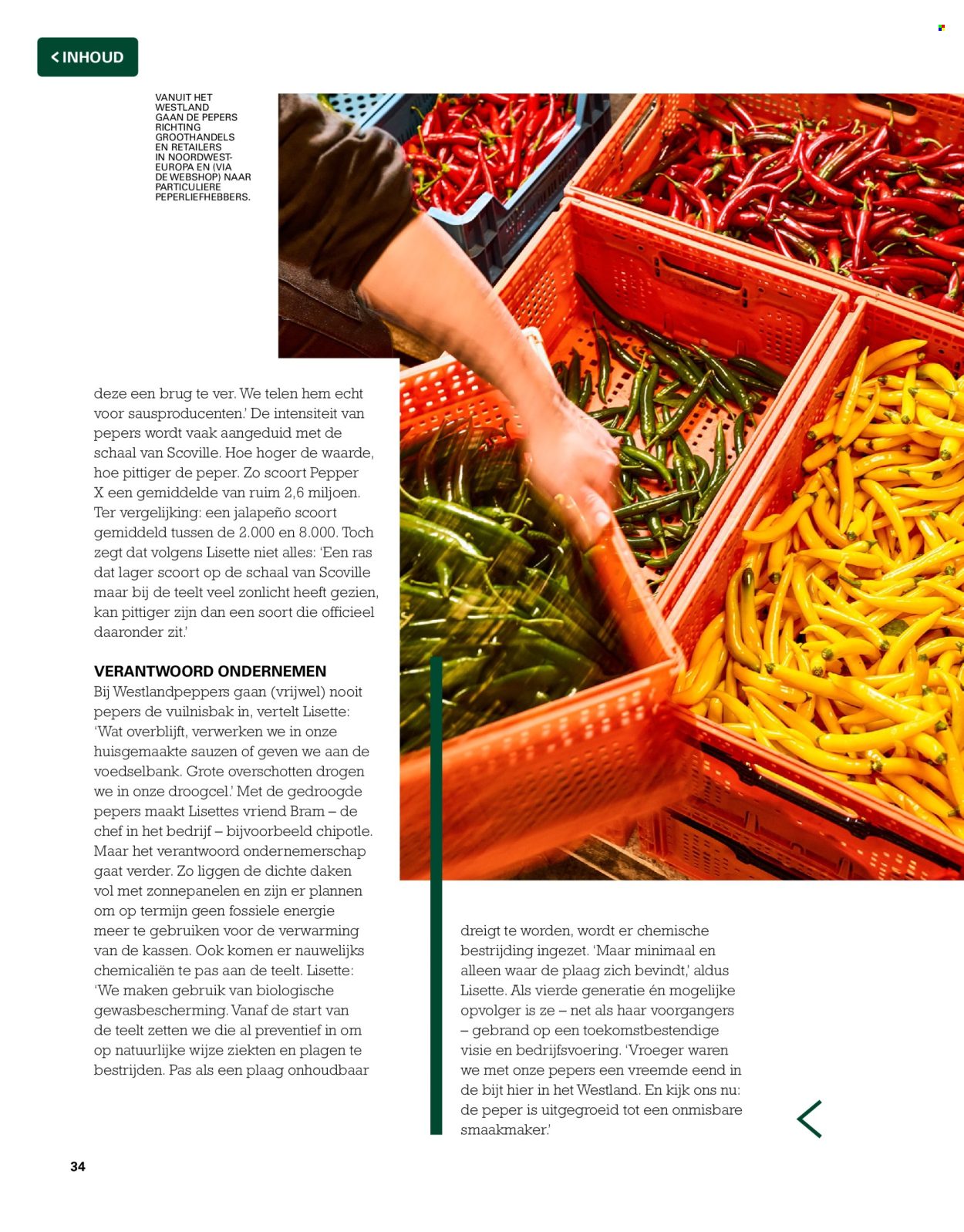 Sligro-aanbieding. Pagina 34