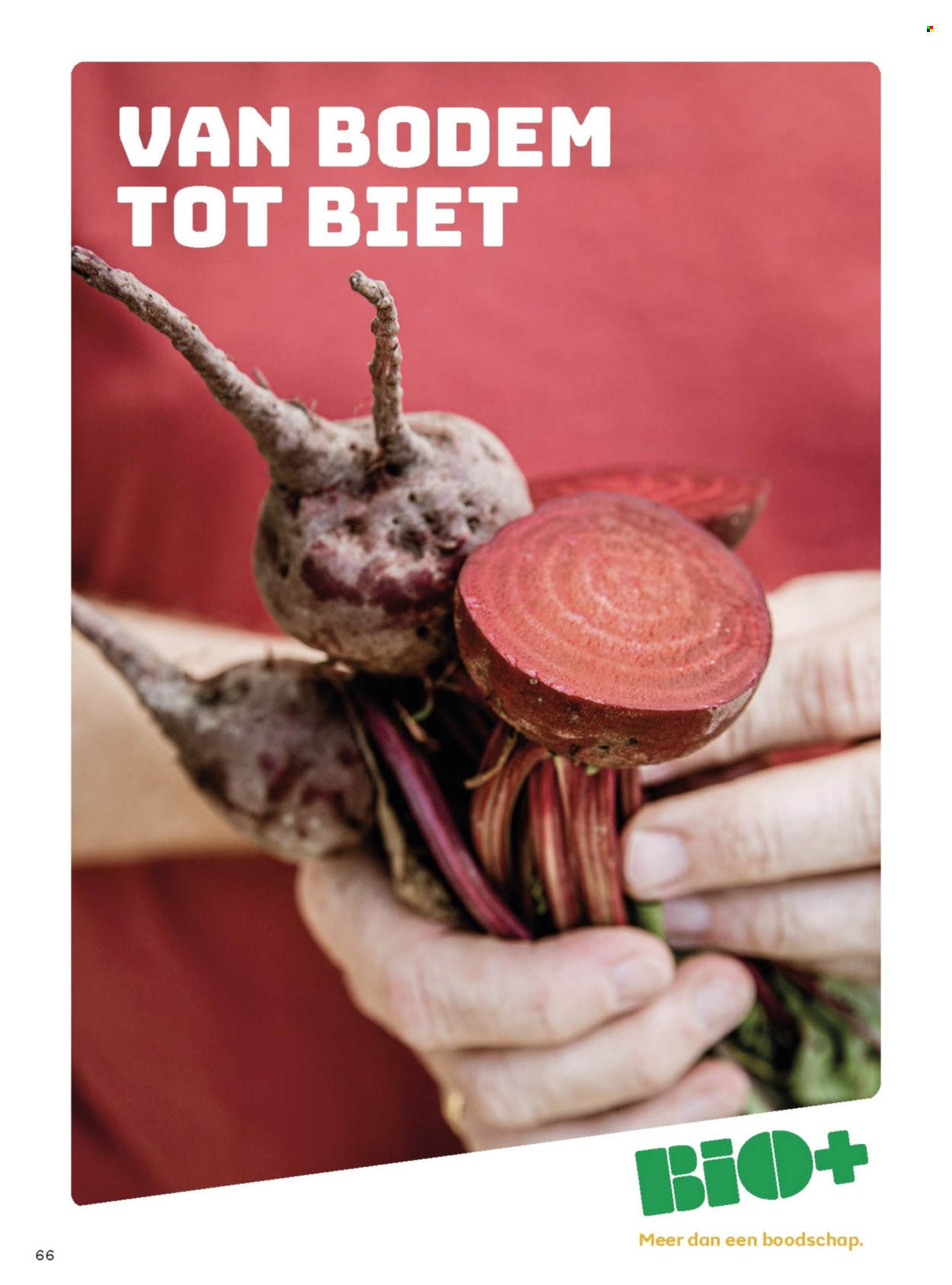 Boni-aanbieding - 1-6-2026 - 30-6-2026. Pagina 66