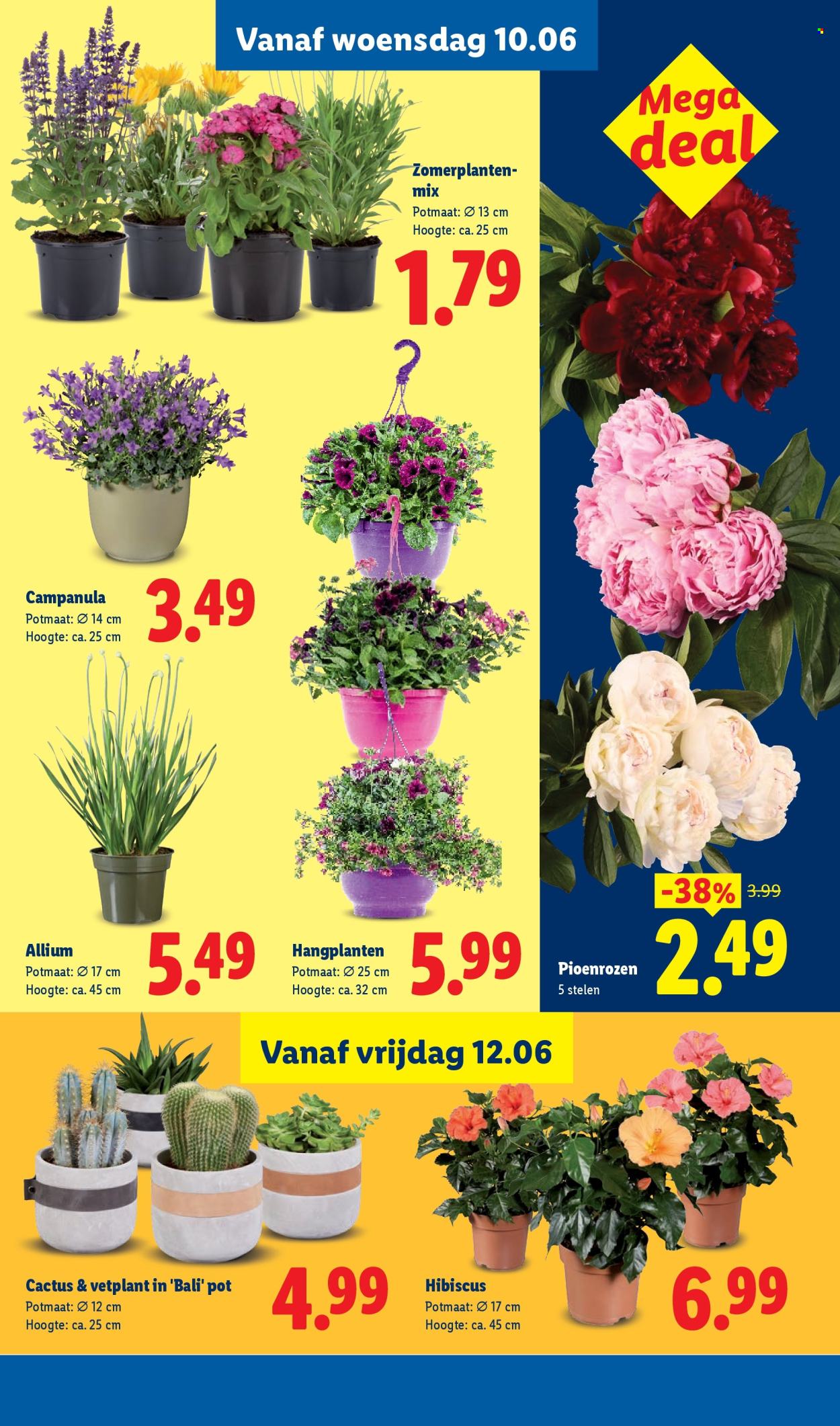 Lidl-aanbieding - 8-6-2026 - 14-6-2026. Pagina 25