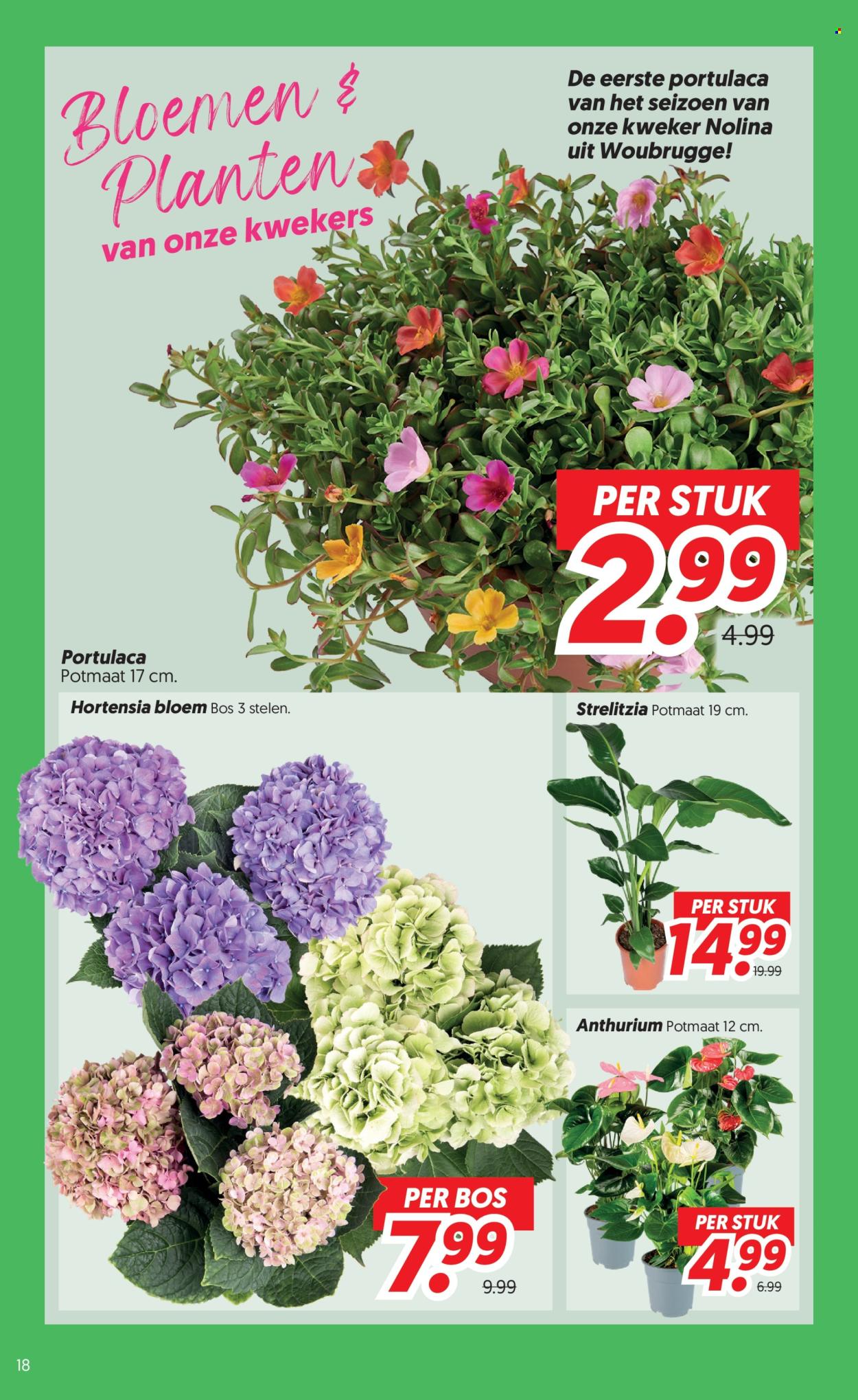DekaMarkt-aanbieding - 9-6-2026 - 15-6-2026. Pagina 18