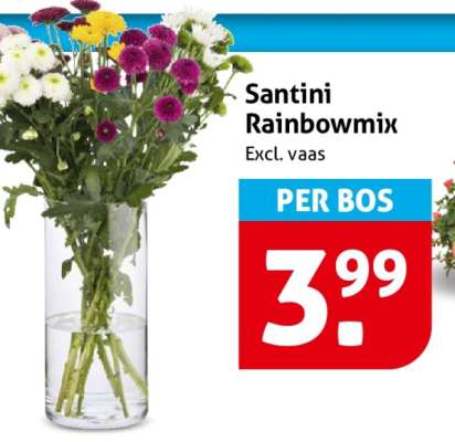 Santini Rainbowmix