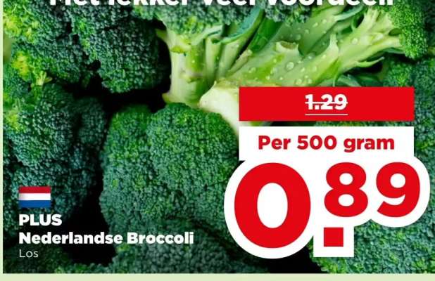 PLUS Nederlandse Broccoli