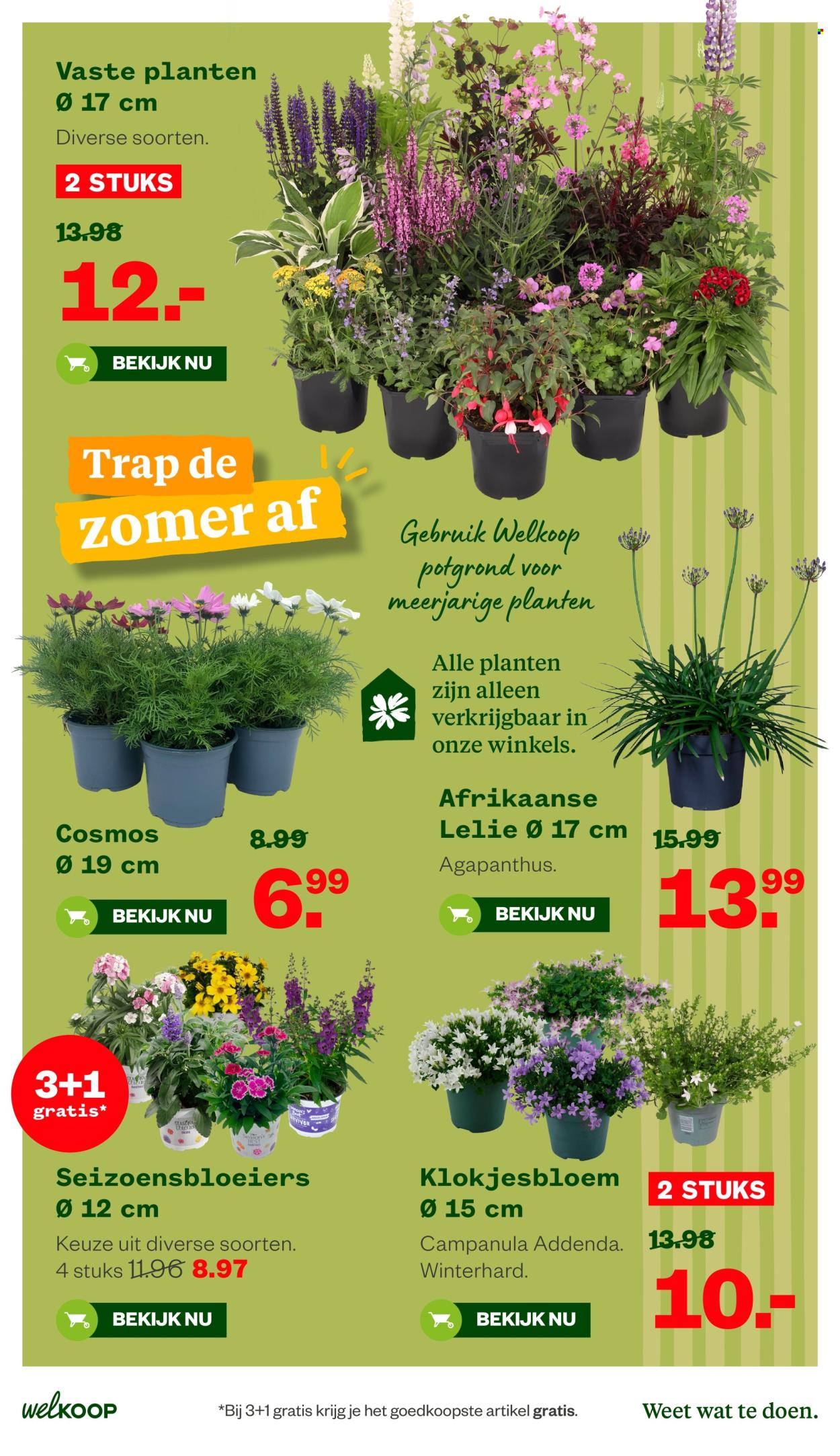 Welkoop-aanbieding - 8-6-2026 - 21-6-2026. Pagina 16