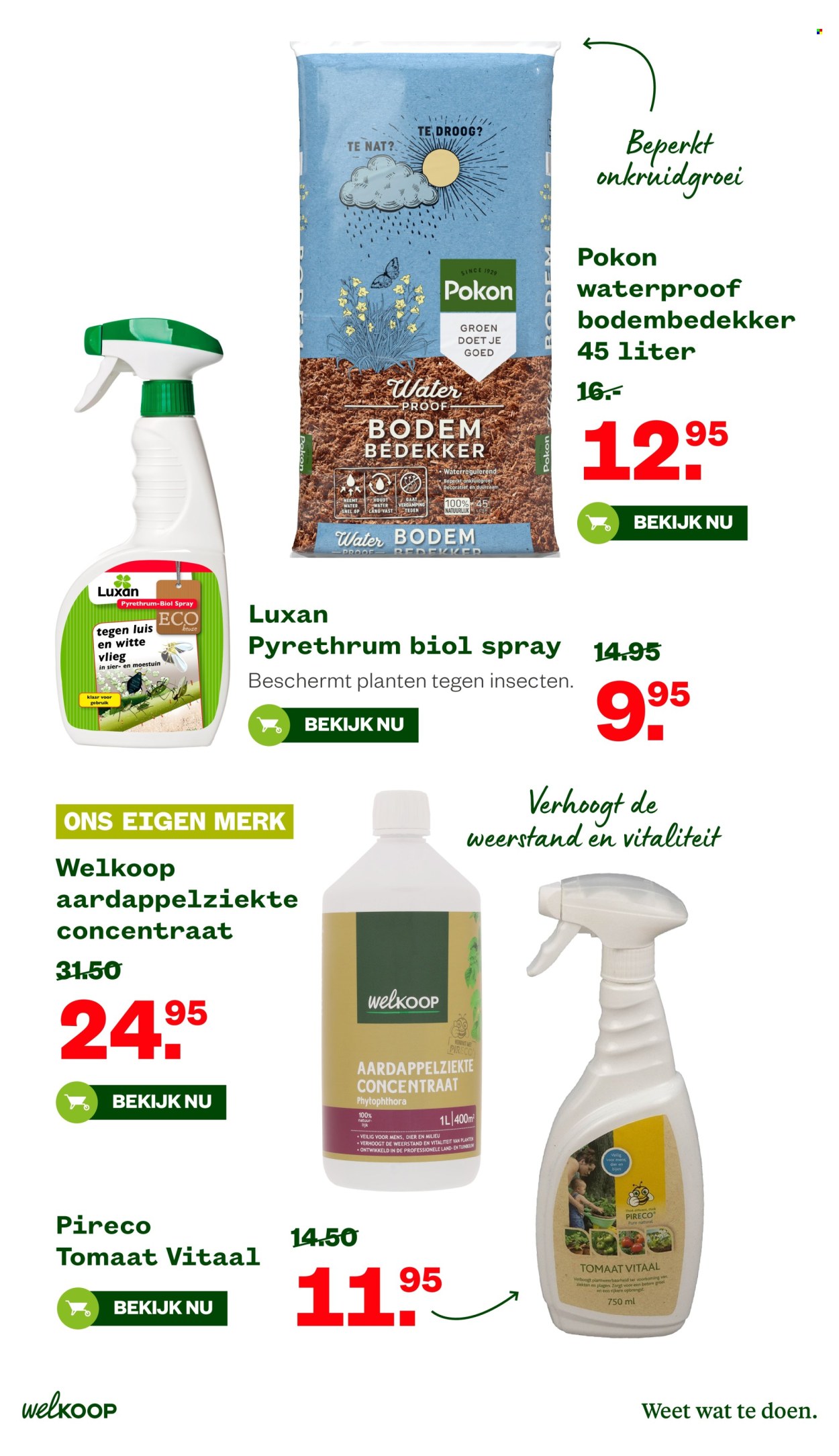 Welkoop-aanbieding - 8-6-2026 - 21-6-2026. Pagina 18