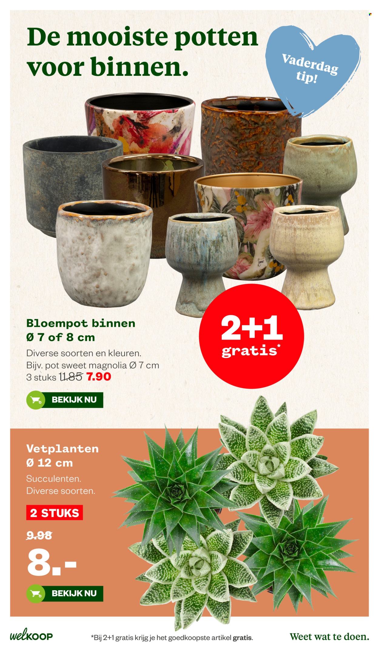 Welkoop-aanbieding - 8-6-2026 - 21-6-2026. Pagina 21