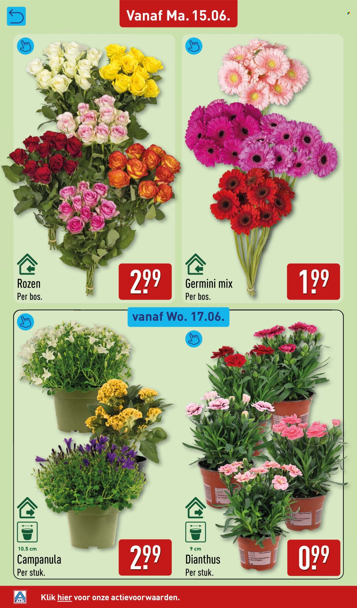 Aldi-aanbieding - 15-6-2026 - 21-6-2026. Pagina 40