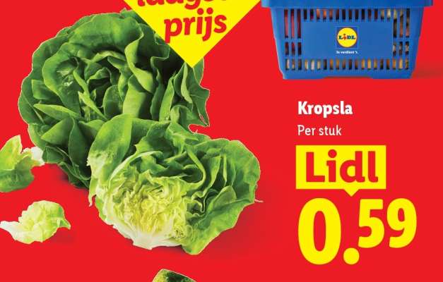 Kropsla