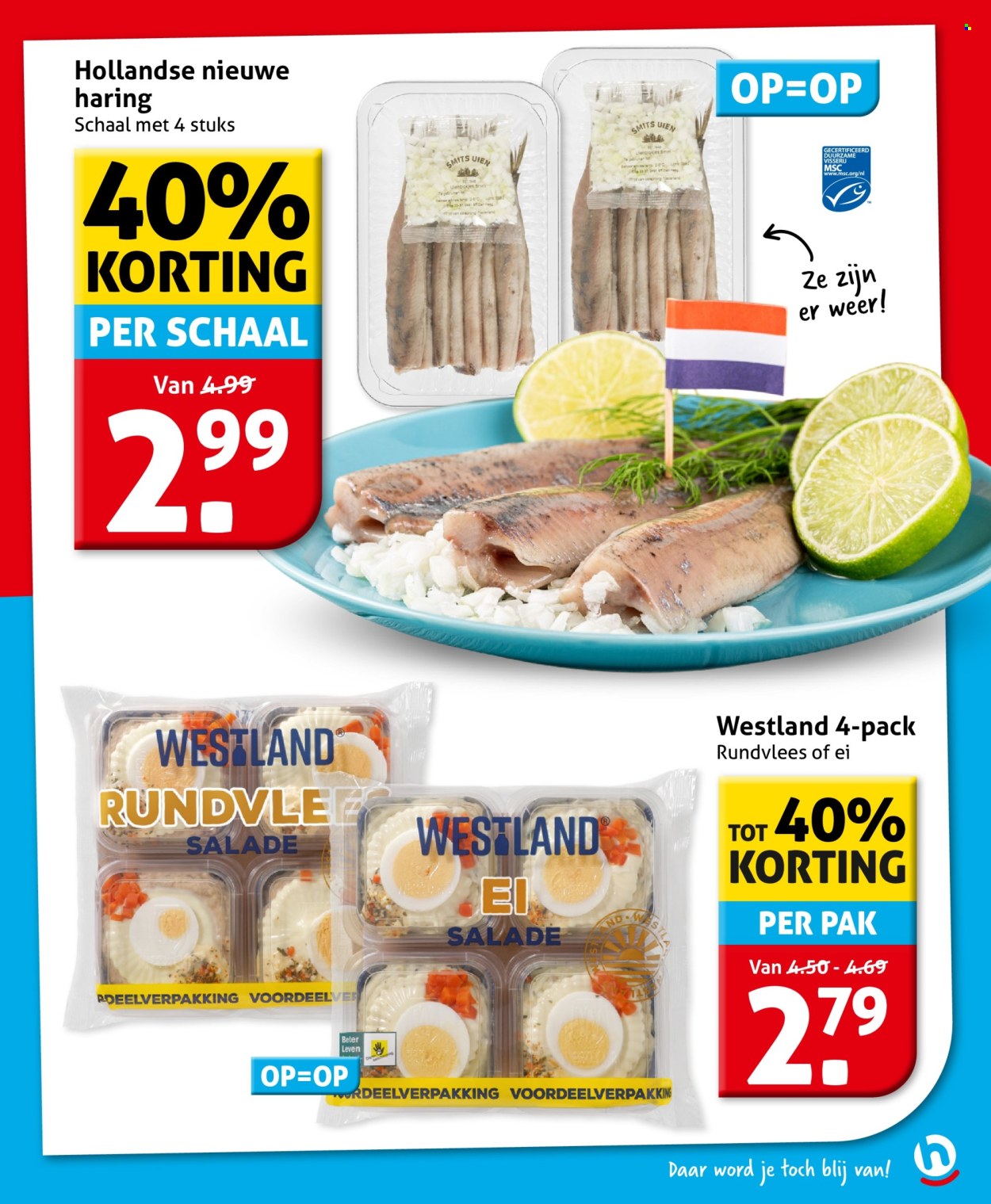 Hoogvliet-aanbieding - 17-6-2026 - 23-6-2026. Pagina 11