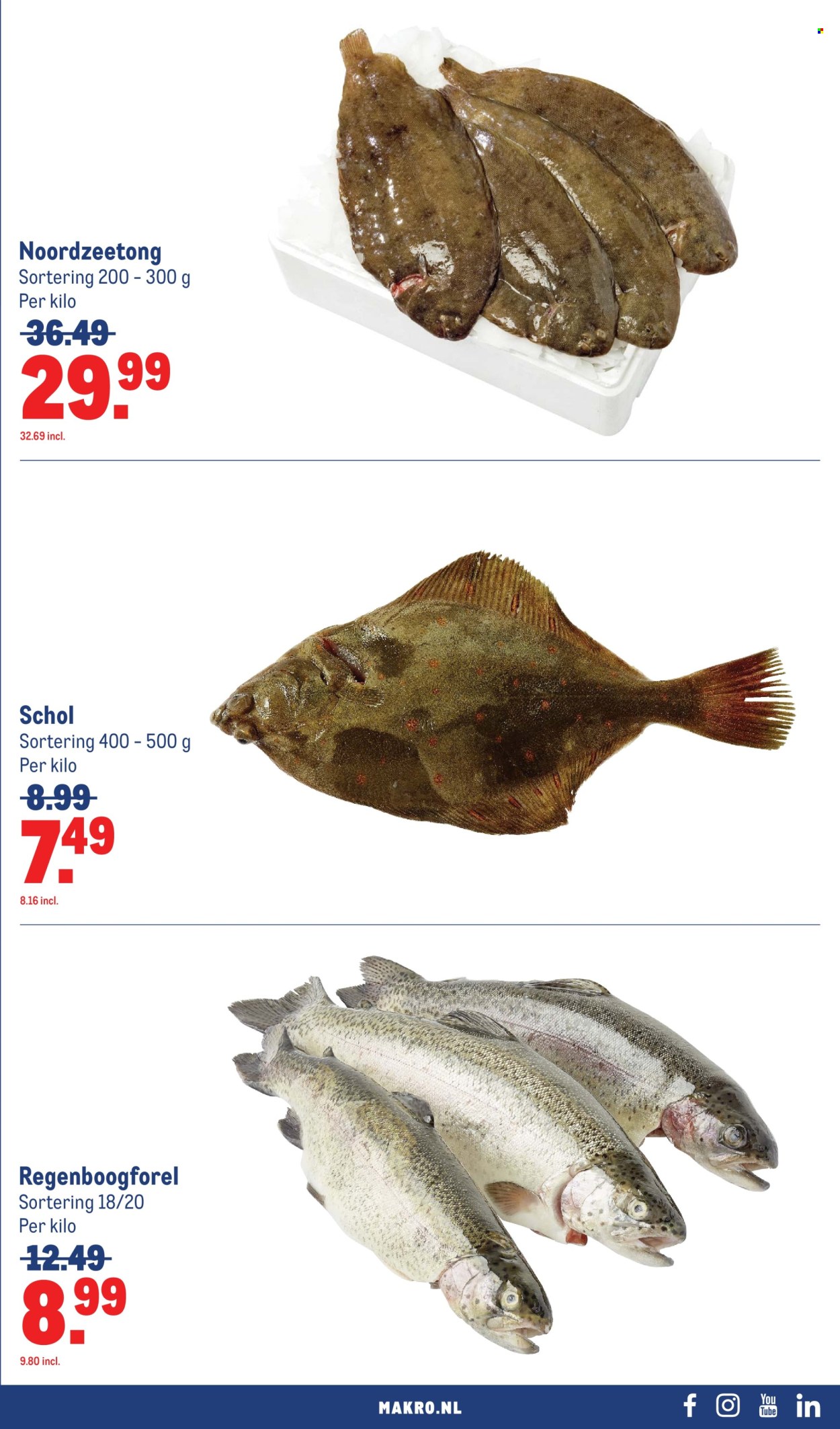 Makro-aanbieding - 17-6-2026 - 30-6-2026. Pagina 37