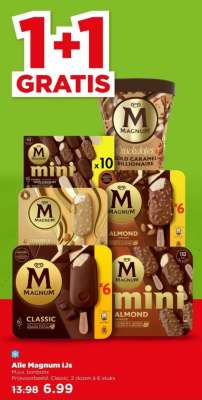 Alle Magnum ijs