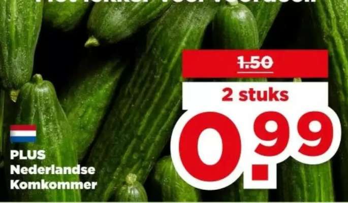 PLUS Nederlandse Komkommer