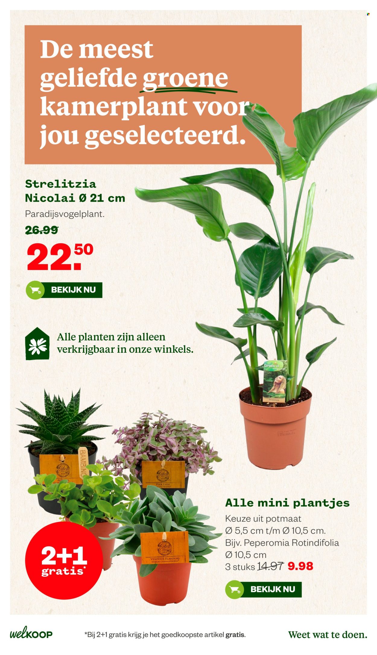 Welkoop-aanbieding - 8-6-2026 - 21-6-2026. Pagina 31