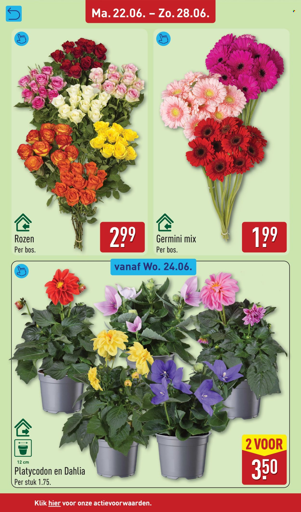 Aldi-aanbieding - 22-6-2026 - 28-6-2026. Pagina 38
