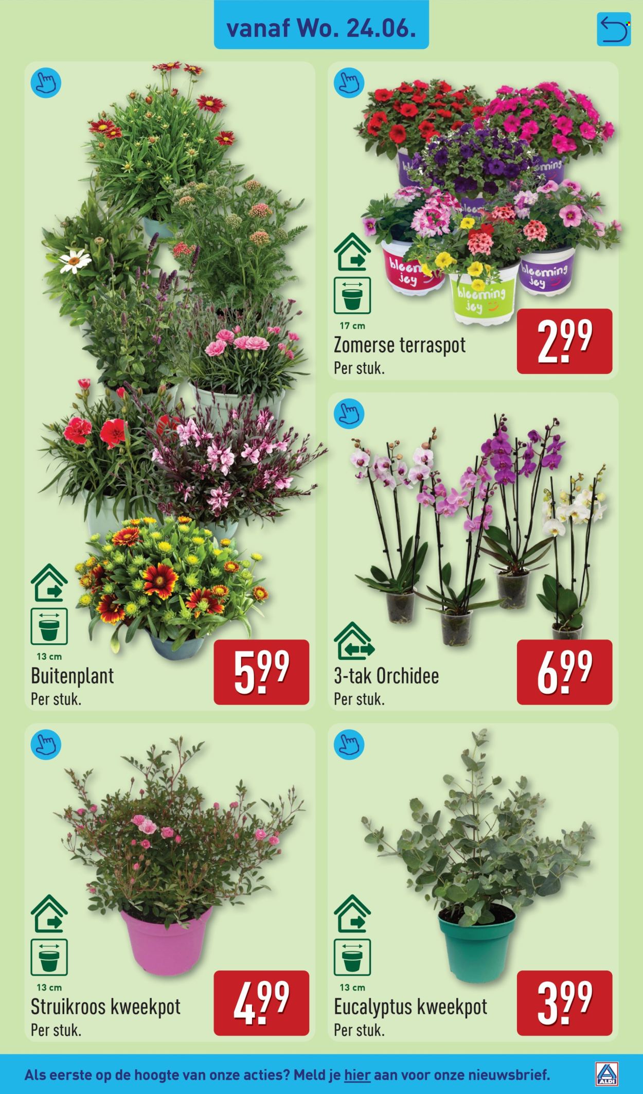 Aldi-aanbieding - 22-6-2026 - 28-6-2026. Pagina 39