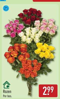 Rozen