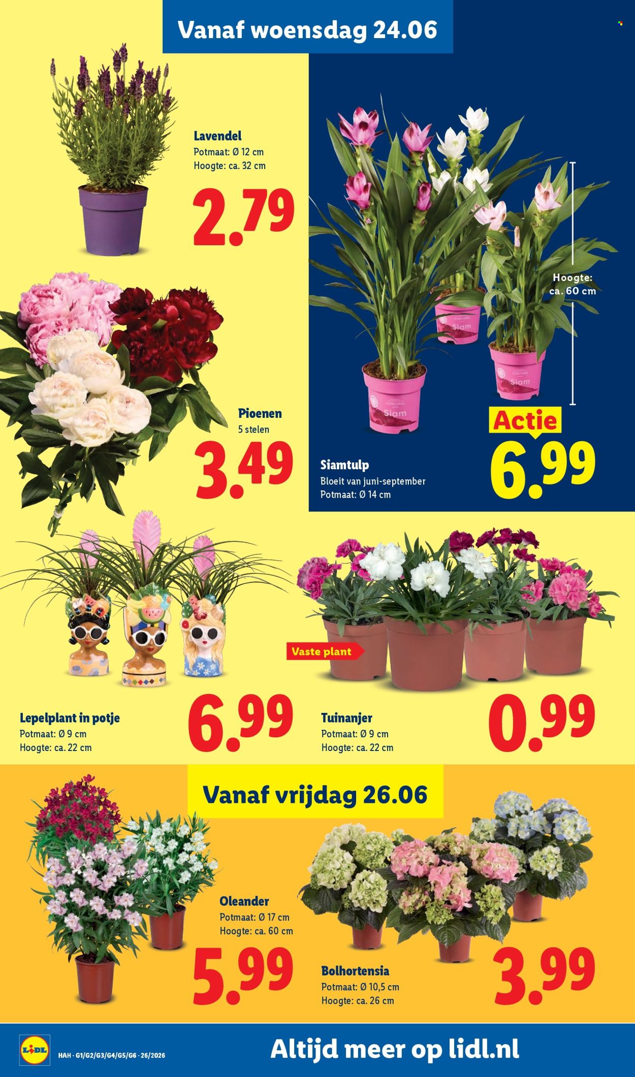 Lidl-aanbieding - 22-6-2026 - 28-6-2026. Pagina 19