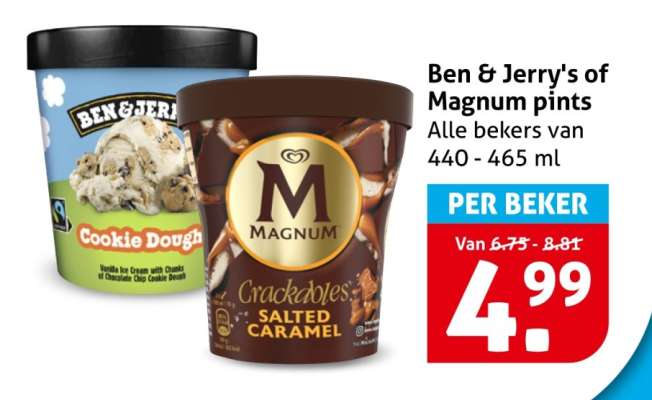 Ben & Jerry's of Magnum pints