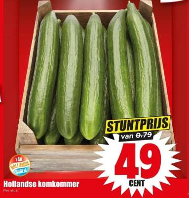 Hollandse komkommer