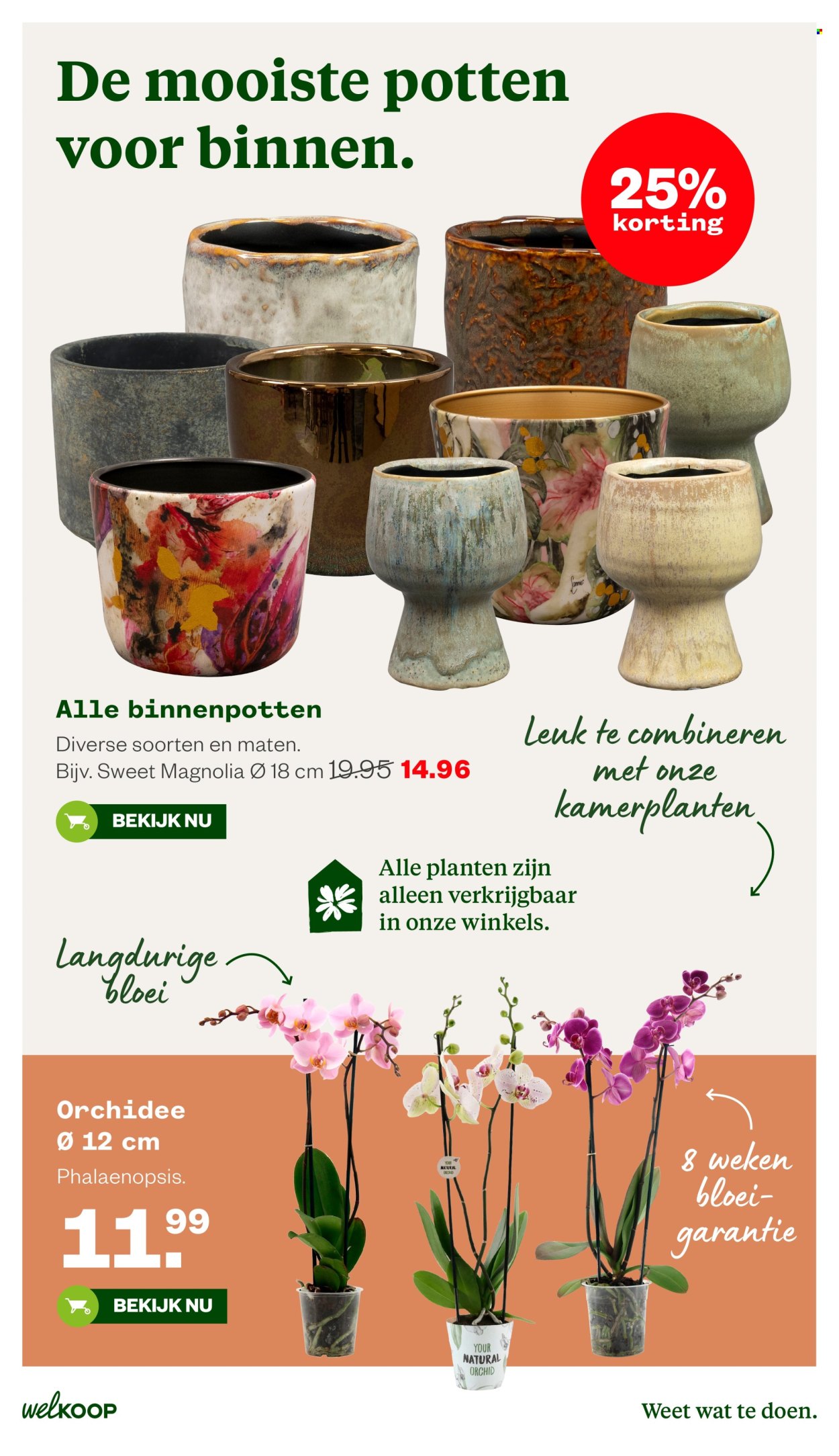 Welkoop-aanbieding - 22-6-2026 - 5-7-2026. Pagina 16