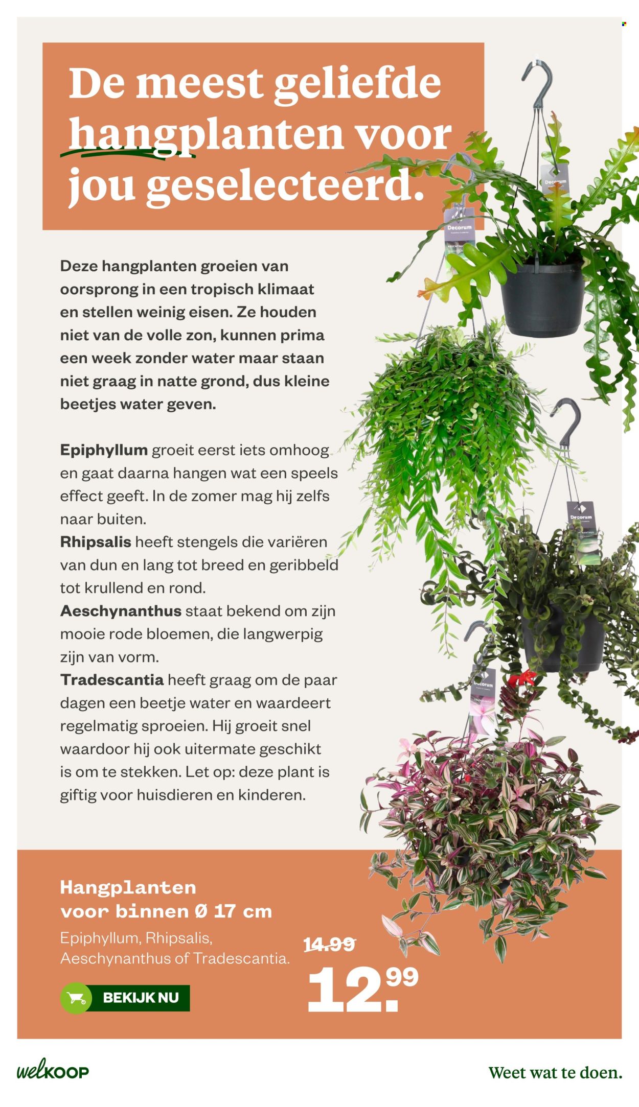 Welkoop-aanbieding - 22-6-2026 - 5-7-2026. Pagina 17