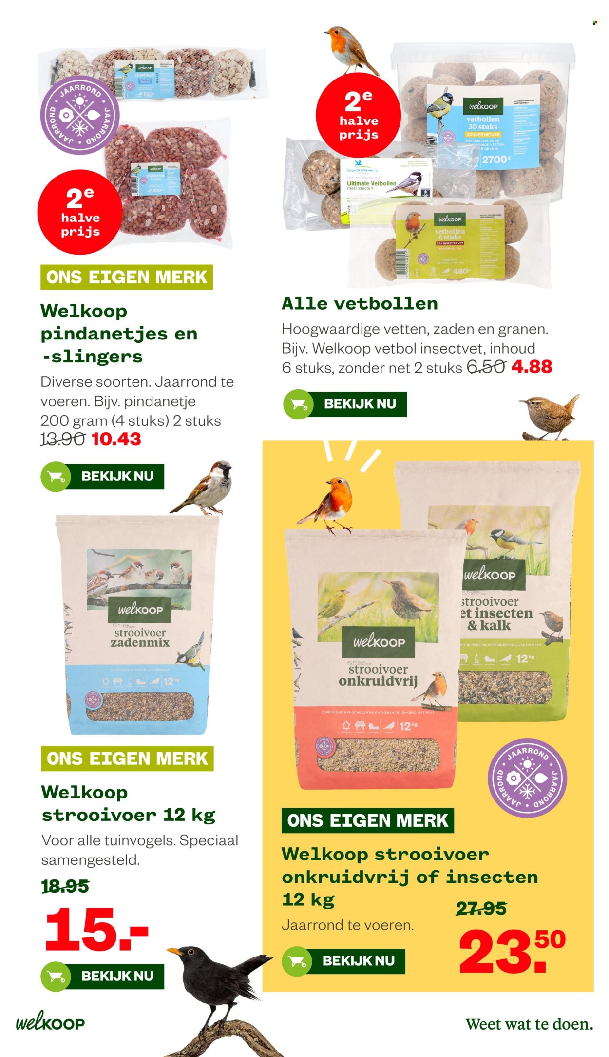 Welkoop-aanbieding - 22-6-2026 - 5-7-2026. Pagina 31