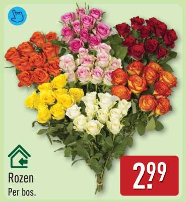 Rozen