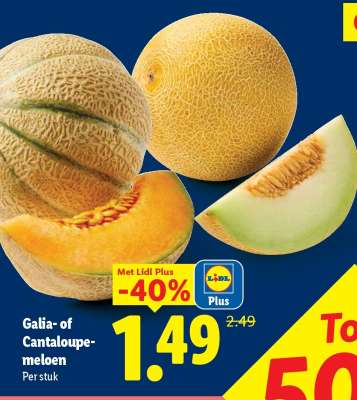 Galia- of cantaloupe-meloen