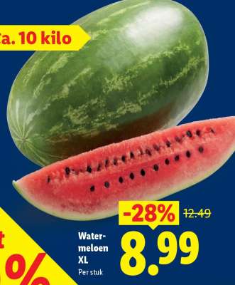 Watermeloen XL