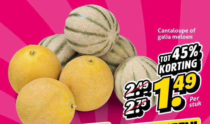 Cantaloupe of galia meloen