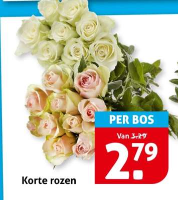 Korte rozen