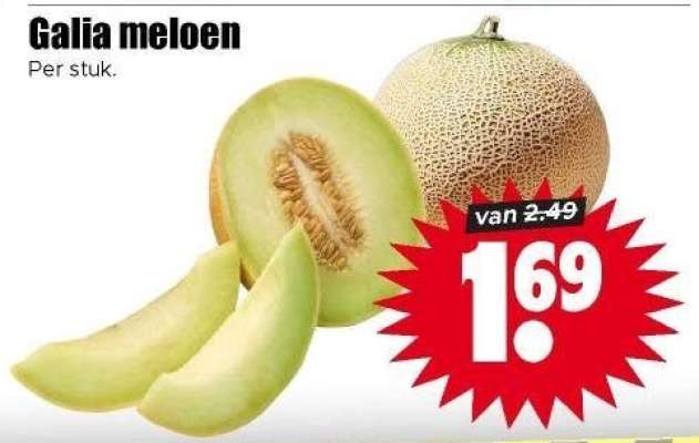 Galia meloen