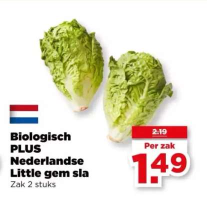 Biologisch PLUS Nederlandse Little gem sla
