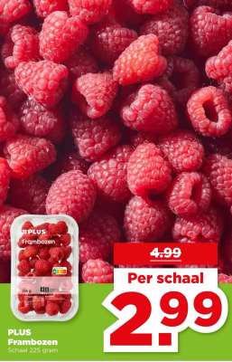 PLUS Frambozen