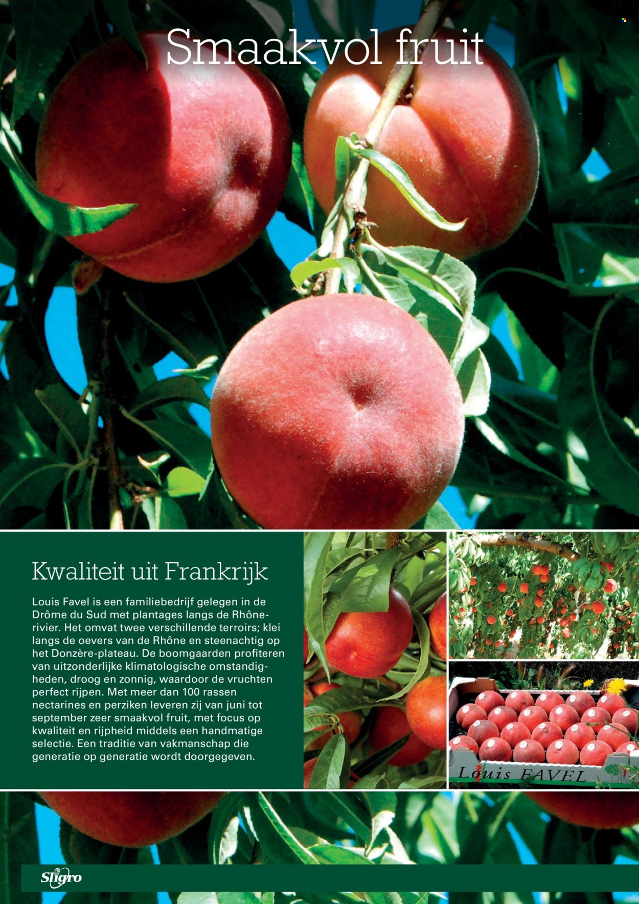 Sligro-aanbieding - 2-7-2026 - 20-7-2026. Pagina 30