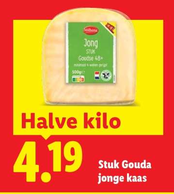 Stuk Gouda jonge kaas