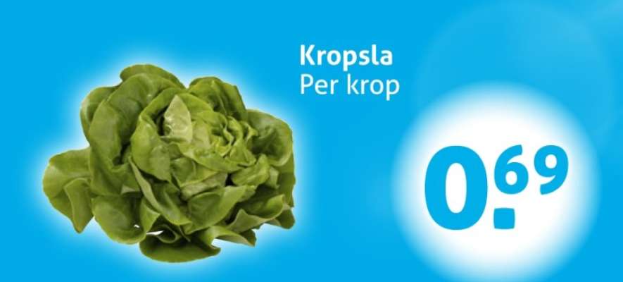 Kropsla