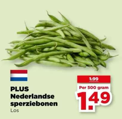 PLUS Nederlandse sperziebonen