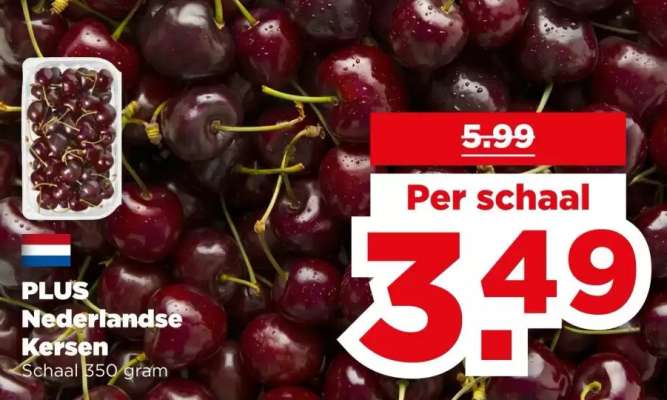 PLUS Nederlandse Kersen