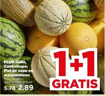 PLUS Galia, Cantaloupe, Piel de sapo en watermeloen